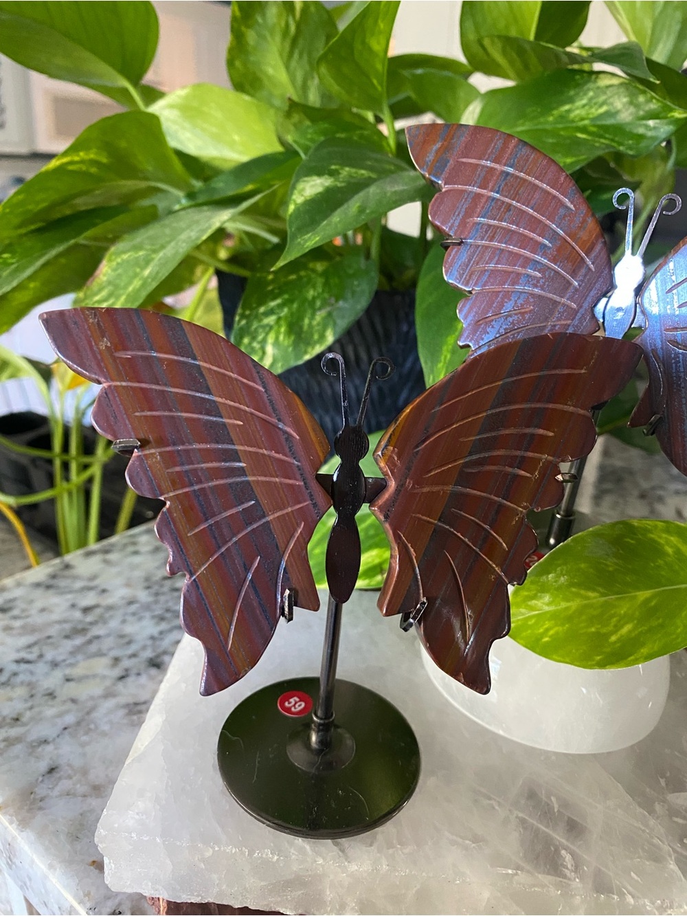 ✨ Iron Tiger’s Eye Butterfly Wings with Stand